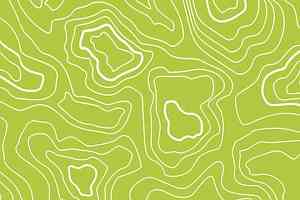 Линолеум Forbo Sarlon Graphic 15dB 928T4315 lime topography фото  | FLOORDEALER